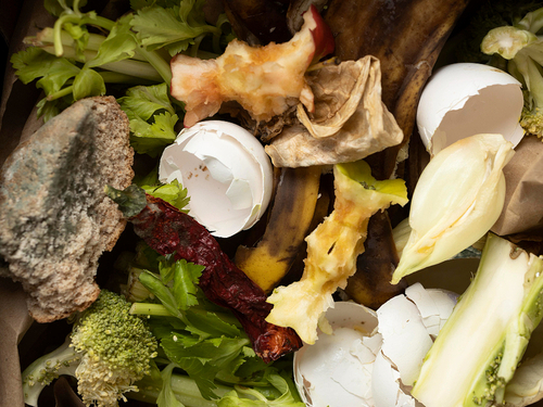 Moho en los alimentos: cuándo hay que tirarlos y cuándo se pueden salvar Imagen33546D