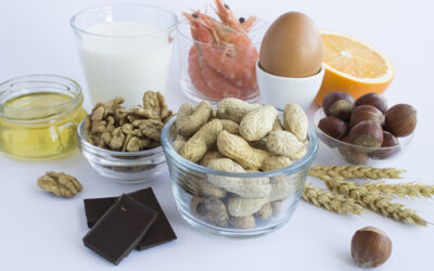 Avance contra las alergias: Descubren cómo el cuerpo dirime qué alimentos son seguros y cuáles no