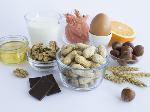 Avance contra las alergias: Descubren cómo el cuerpo dirime qué alimentos son seguros y cuáles no Imagen33945D