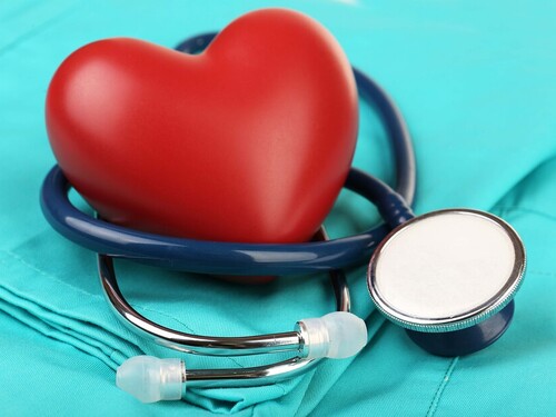 El latido del corazón es el «escudo» natural que impide que el órgano sufra cáncer Imagen34051D