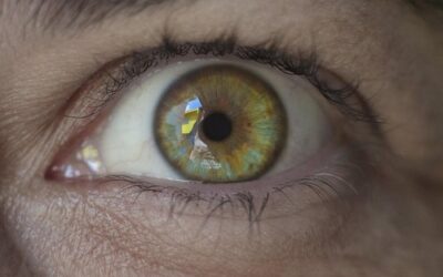 Nuevo avance para la ceguera por daño en el nervio óptico: así logran que las neuronas trasplantadas sobrevivan