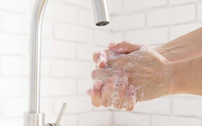 Hantavirus: Estos son los 5 consejos para tratar de prevenir el contagio entre personas