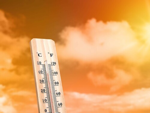 Los expertos coinciden: el cambio climático está detrás del aumento global de enfermedades cardíacas relacionadas con el calor Imagen34254D
