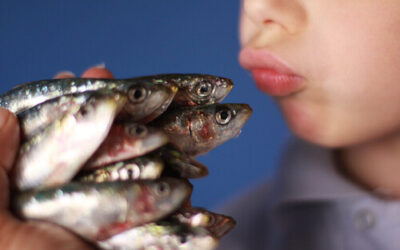 ¿Qué es el «síndrome del olor a pescado» y cómo se soluciona?