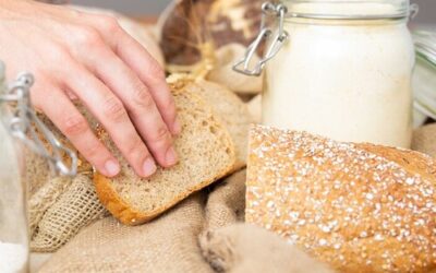 La gran duda de los pacientes con Hashimoto: ¿hay que dejar el gluten aunque no exista celiaquía?