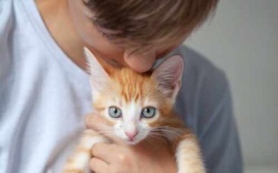 Ni más asma ni más alergias: lo que realmente ocurre cuando los niños viven con gatos