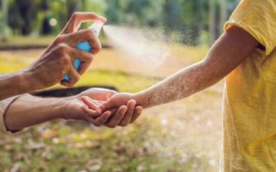 Guía para no equivocarse con el repelente de mosquitos: ¿Cuál escojo?