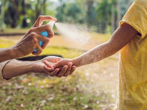 Guía para no equivocarse con el repelente de mosquitos: ¿Cuál escojo? Imagen34508D