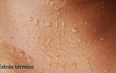 Estrés térmico de la piel: cómo afecta el calor y cómo cuidar la piel en verano