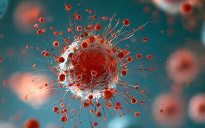 Uno de cada ocho diagnósticos de cáncer en el mundo está relacionado con una infección
